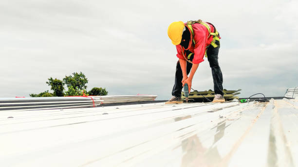 Best Roof Insulation Installation  in Edwards, CO